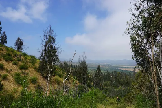 7.056 M2 Con Vista Al Valle De Casablanca