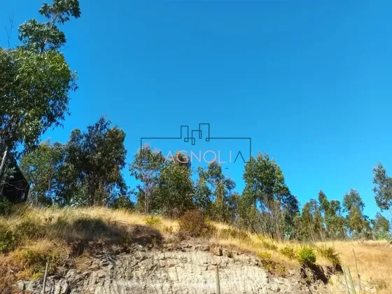 Sitio En Venta En Parcelación Brisas De Topocalma. Litueche