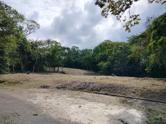 241  Se Vende Lote En Rincón De Chorro De Plata Ubicado En Pance / Cali