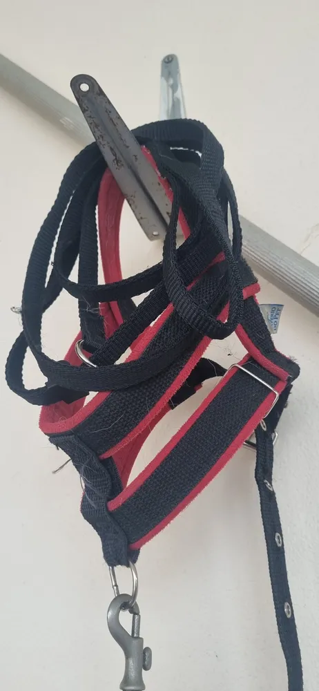 Guia Unificada Coleira 2,00 Mt Enforcador Cães Adestramento - Imagem 4