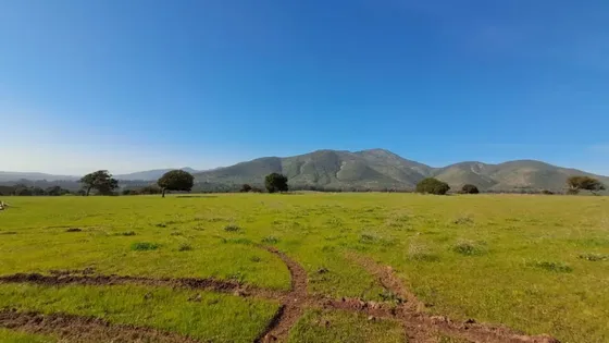 Parcela De 1.000 M² En Santa Adela
