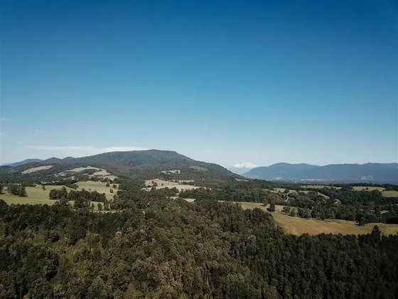 Agrícola En Venta En Los Lagos
