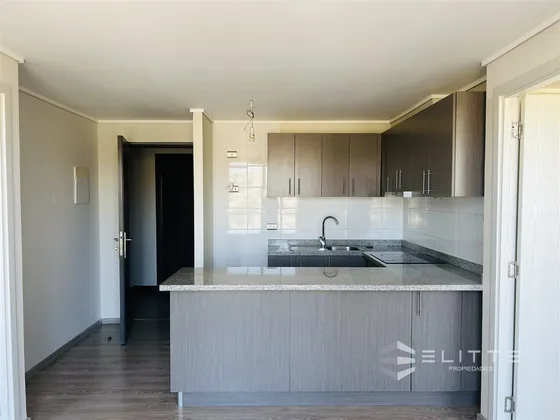 Departamento En Arriendo Estilo Mariposa Cerro Placeres 