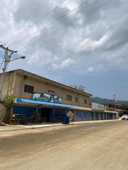 (mga) Casa De Uso Comercial Con Locales