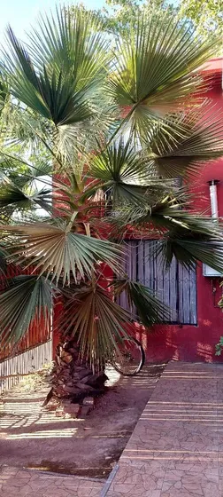 Arriendo Pieza Amoblada - Peñaflor - Vicuña Mackenna