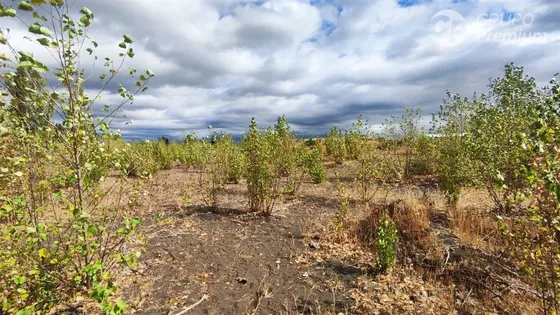 Parcela En Venta En Campanario