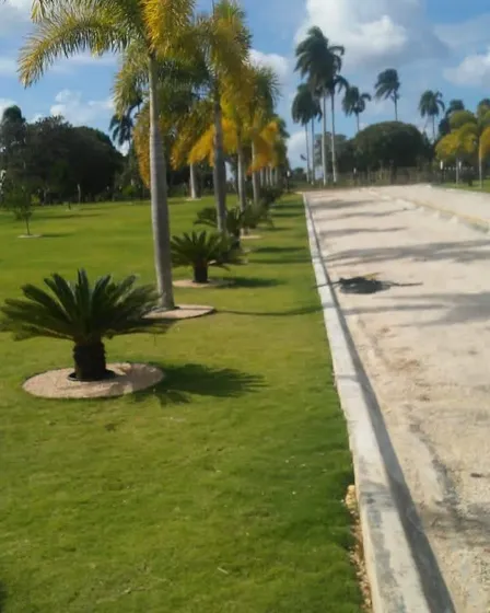 Hermosa Finca De Venta En Mata Chalupe., Prov. La Altagracia