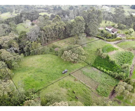 Venta Lote 8000 Mts2 La Ceja Vía La Unión