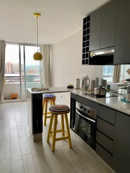 Studio Amoblado Barrio Brasil, Con Arriendo Vigente