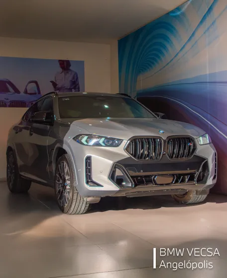 Bmw X6 4.4 V8 M60i