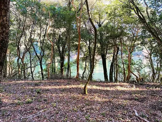 Llifen/río Calcurrupe