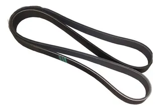Correia 6pk1625 | MercadoLivre 📦