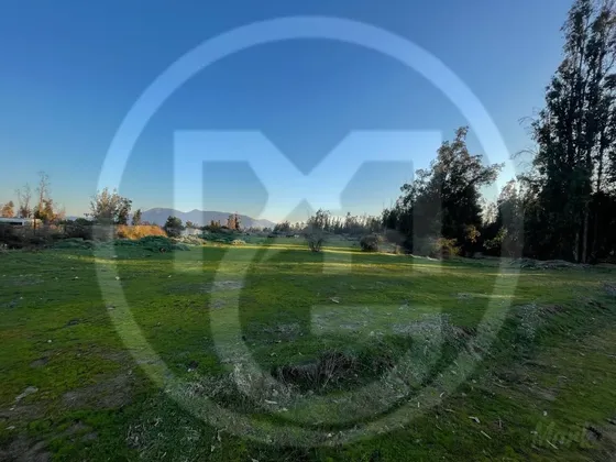 Parcela En Culiprán  5.000m² Con Luz  (105538)