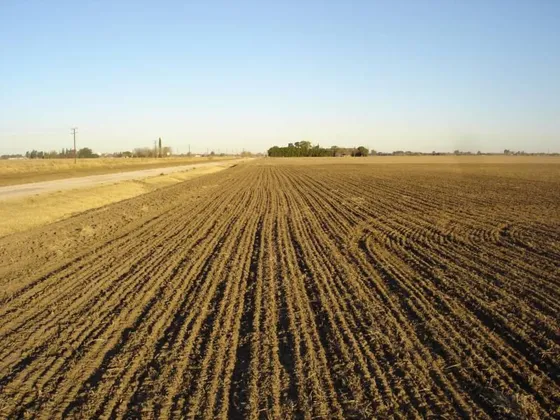Casilda 12,5 Ha - Agricolas 100 %