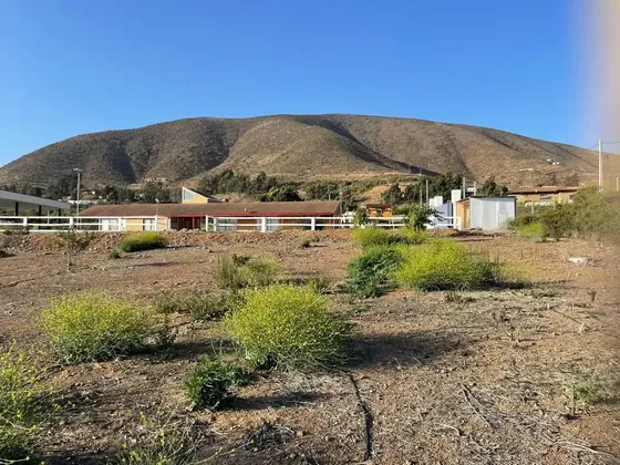 Venta Parcela 5000mts La Serena