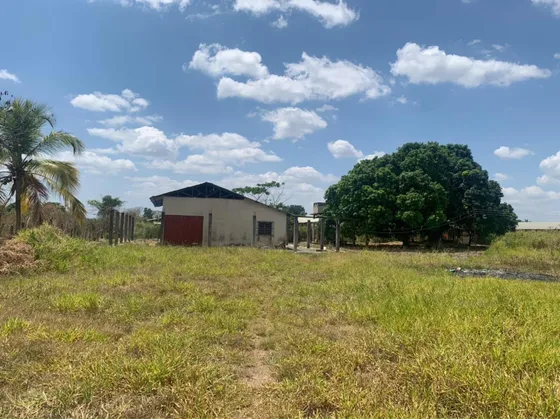 Venta De Finca En Tinaquillo. Rs