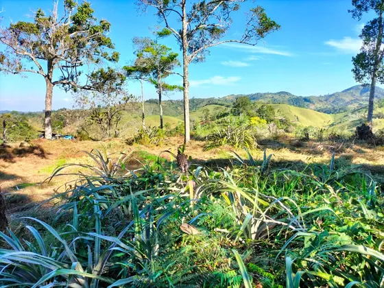 Finca Con Hermosa Vista Y Potreros