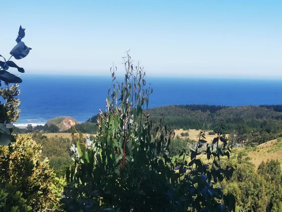Sitio En Venta En Cobquecura