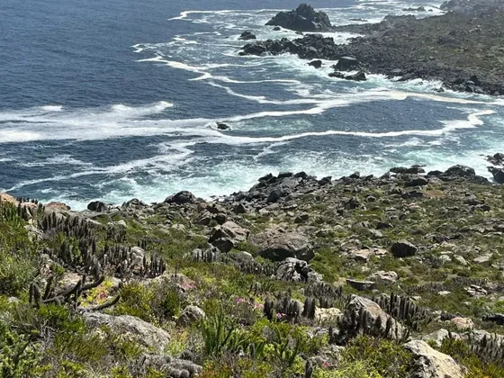 Sector Caleta Hornos