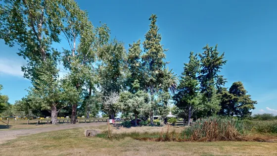 Venta Terreno / Lote Villa Elvira