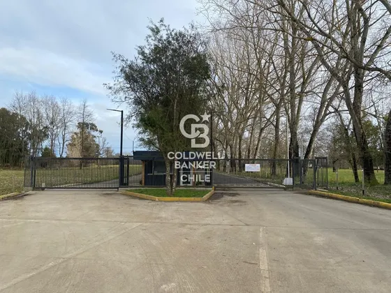 Oportunidad Única: Parcela 5.000 M² En Osorno
