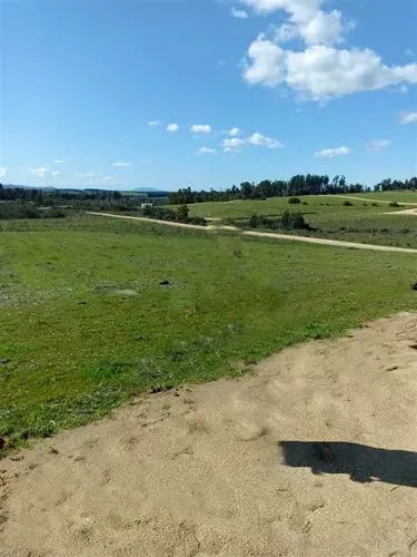 Parcelas Rol Propio Planas En Cauquenes (100423)