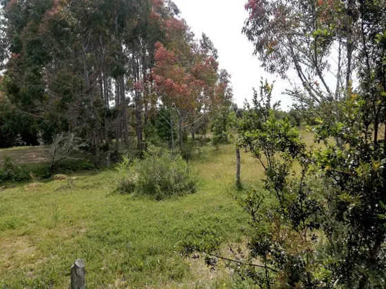Parcela En Venta En Maullín