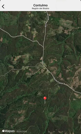 Parcelas Disponibles En Contulmo | 3,90 Ha Y 1,70 Ha | Excel