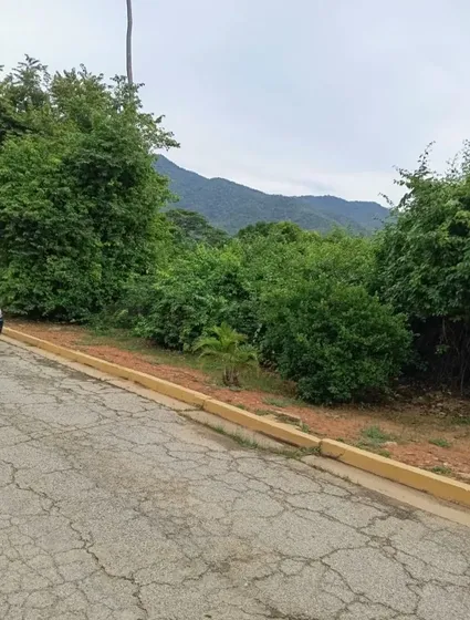 Venta De Terreno En Bahía De Cata Ocumare De La Costa Municipio Costa De Oro Urbanización Privada Estado Aragua. Excelente Oportunidad.