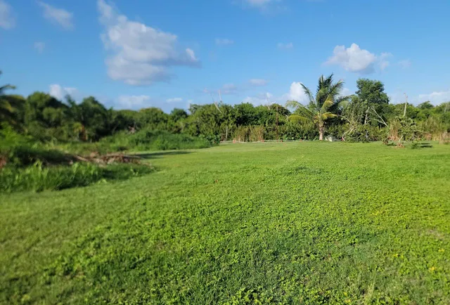 Venta De Terreno En Zona Turistico-hotelera A Solo 2 Minutos De La Playa. Punta Cana Lo Tiene Todo.