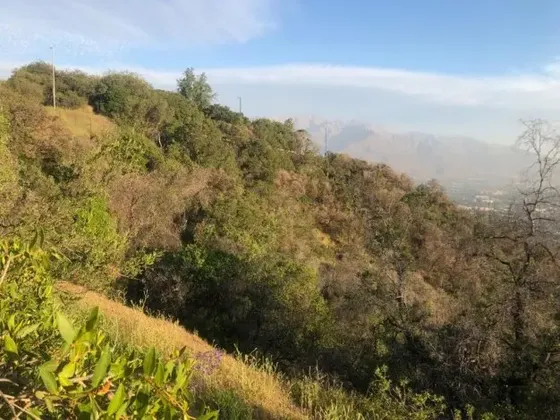 Gran Sitio Con Vista Impactante En Área Ecológica.