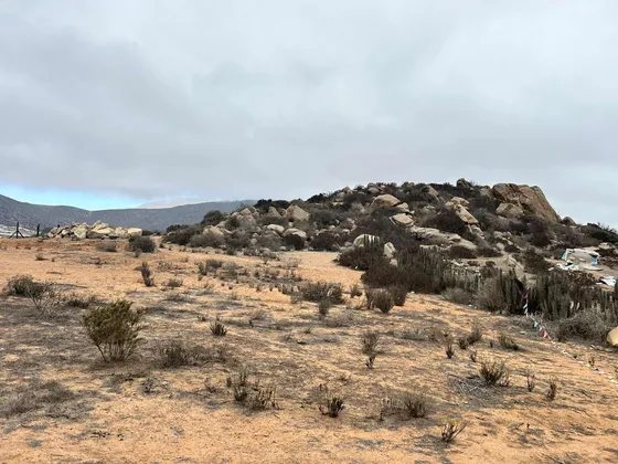 Venta Sitio En Sector De Panul Coquimbo