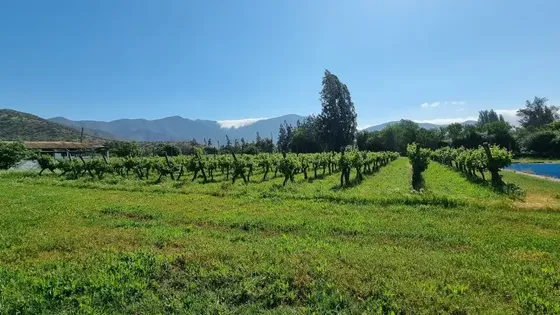 Venta De Terreno En Isla De Maipo
