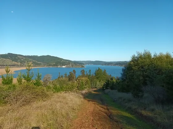 Terrenos Con Espectacular Vista En Lago Vichuquén