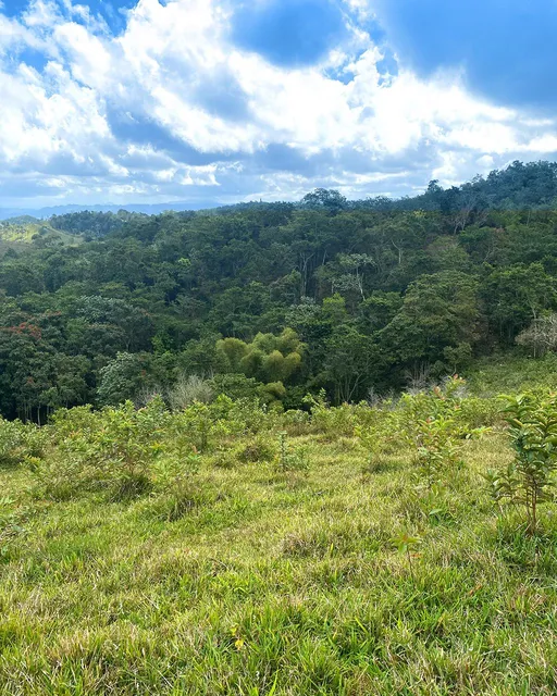 Te Vendo Exelente Finca Ubicada En Jamao/moca/rep. Domi