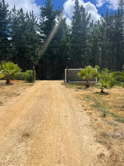 Se Vende Hermosa Parcela De 20.000mt2 En Tunquen