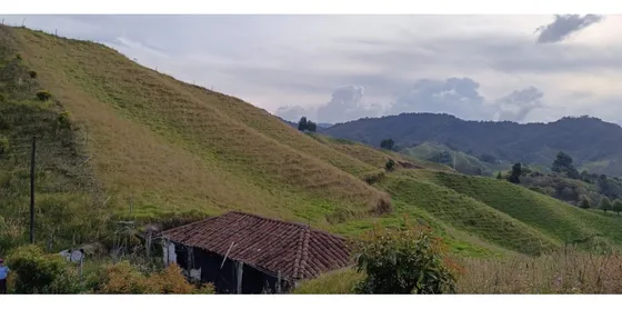 Vendo Finca La Unión Via Abejorral Antioquia Sector Mesopotamia 70 Ha
