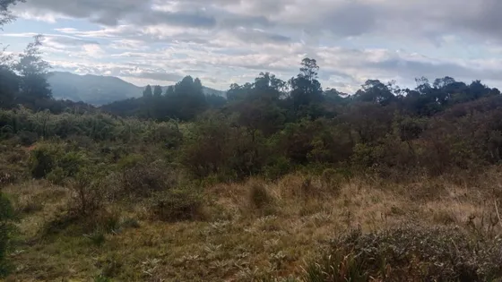 Vendo Hermoso Lote Vereda El Hato La Lomita 