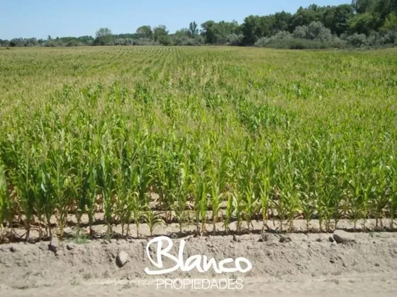 Campo  En Venta En General Conesa,  Rio Negro, Patagonia