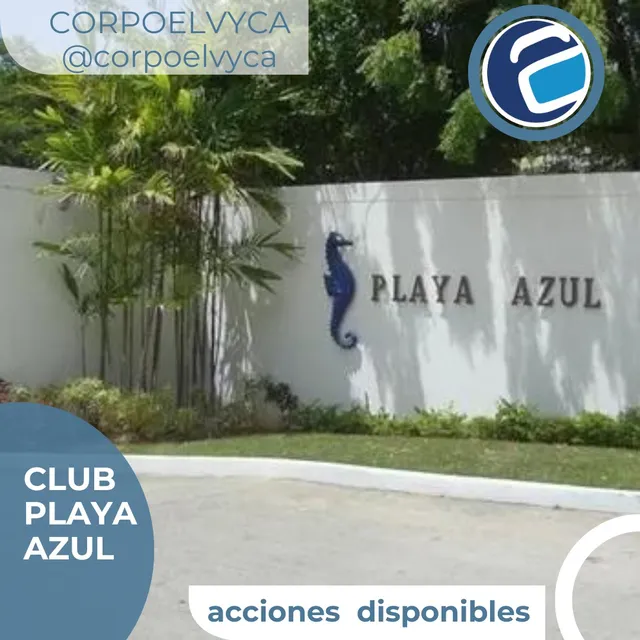 Acción Del Club Playa Azul  (precio De Oportunidad)