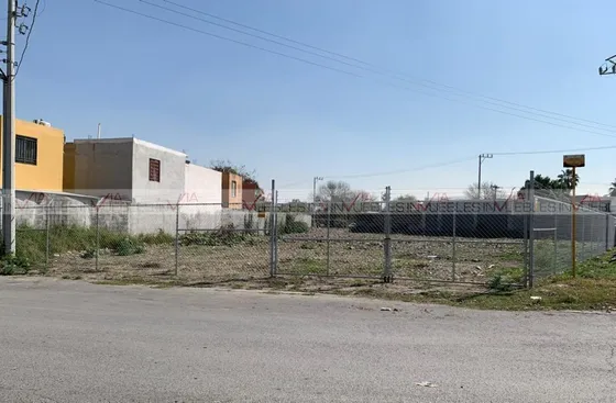 Nova Apodaca