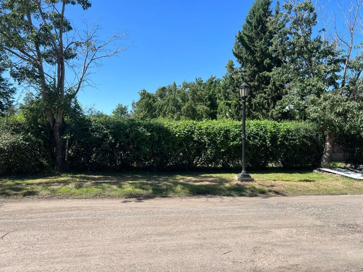 Venta Terreno Resid/comerc., Portal Del Sol.  Slzo