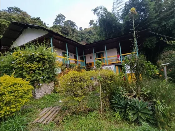 Se Vende Finca Aguacatera En Calarcá - Quindío
