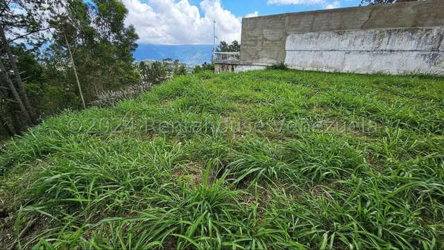 Terreno En Venta En Los Naranjos Del Cafetal Cda 24-29006 Yf
