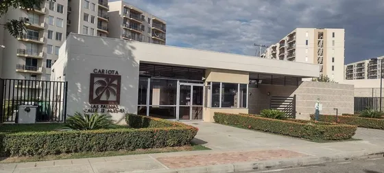 Venta Apt. Para Invertir Palmas Cariota 