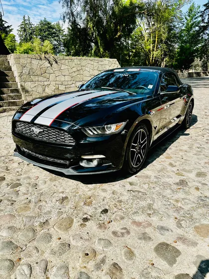 Ford Mustang 2,3 Convertible Thriftpower Black Perlado 4cil Ecoboost