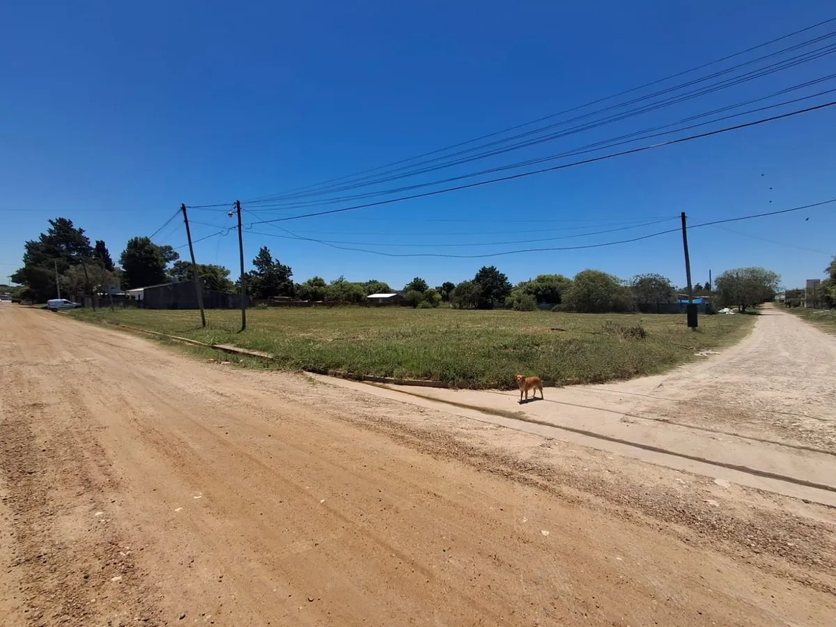Gran Terreno De 3700 M2 Cerca Ruta 12, San Benito 