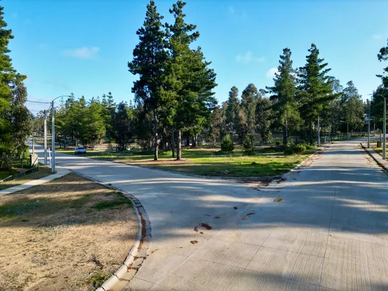 Terreno En Venta De 1710 M² En Algarrobo  Agua Y Luz Instal