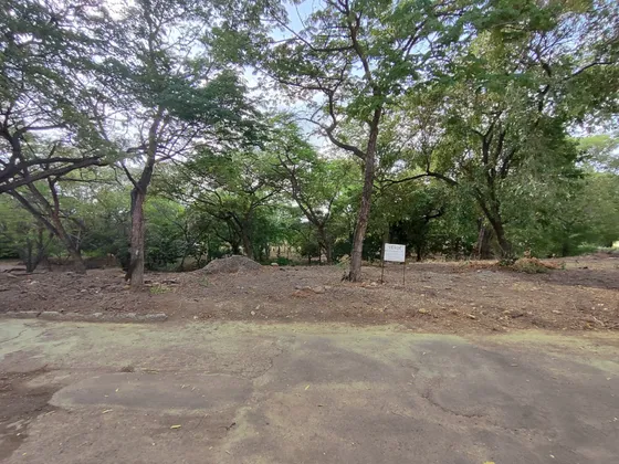 Lote En Venta En Bocono. Cod V29753