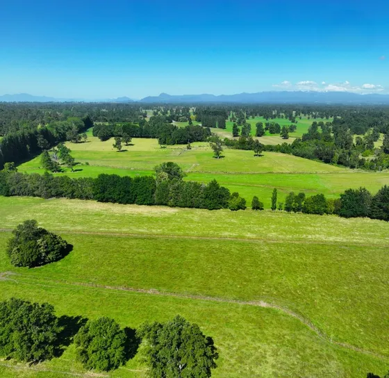 Parcela  A 20 Minutos Del Lago Ranco